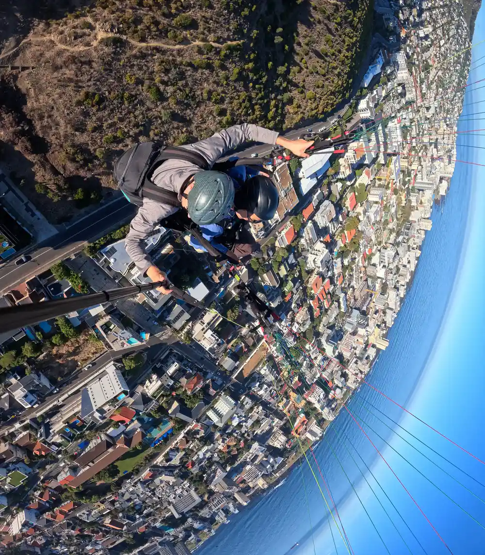 The city curving away under the canopy