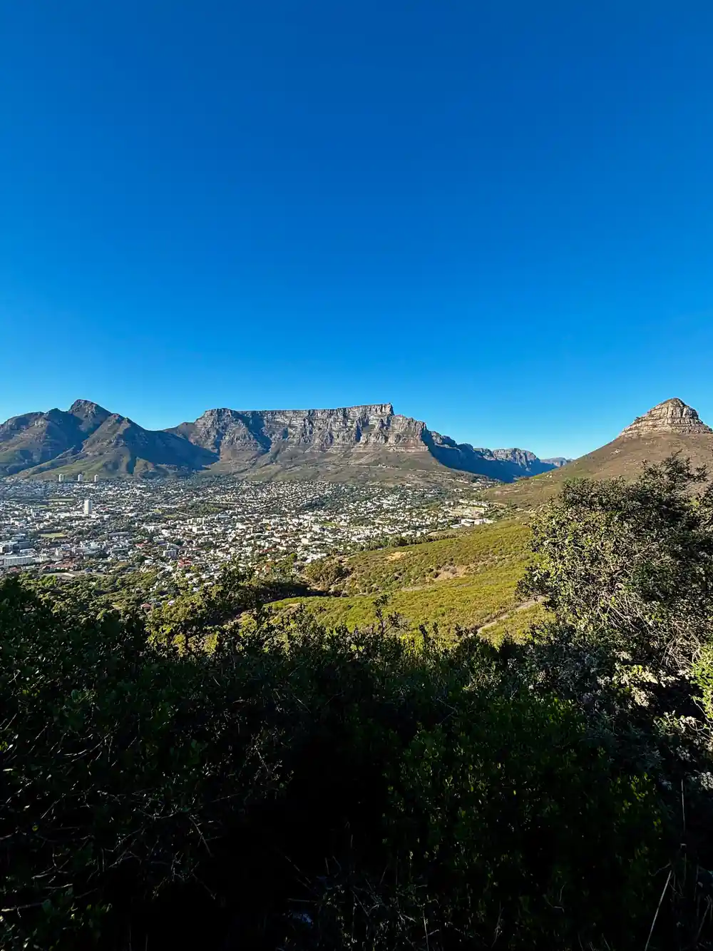 Table Mountain and Lion’s Head seen from the launch